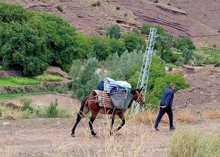 مشروع قانون المالية 2026 يقترح تحويل “صندوق التنمية القروية” إلى “صندوق التنمية الترابية المندمجة”