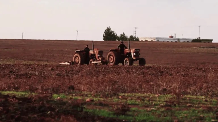 التساقطات المطرية تنعش أمال الفلاحين بجهة الدار ابيضاء سطات في تحقيق موسم جيد