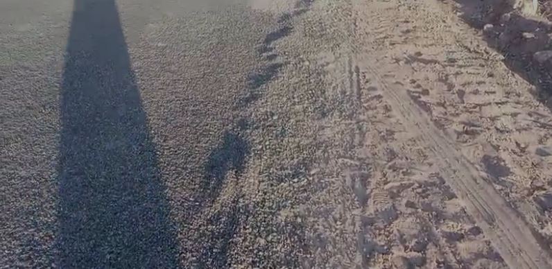 من مشروع فك العزلة إلى “طريق مغشوشة”.. تحقيقات مرتقبة في بلفاع”فيديو”