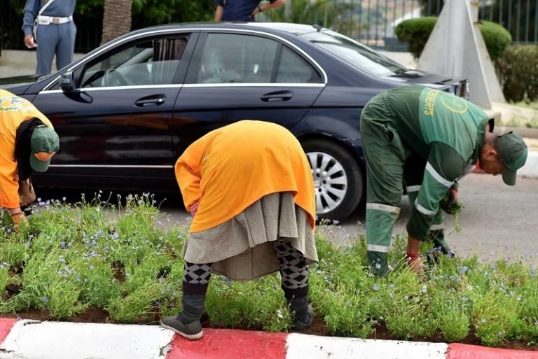 صراعات سياسية تعطل تعويض العمال العرضيين داخل جماعات ترابية