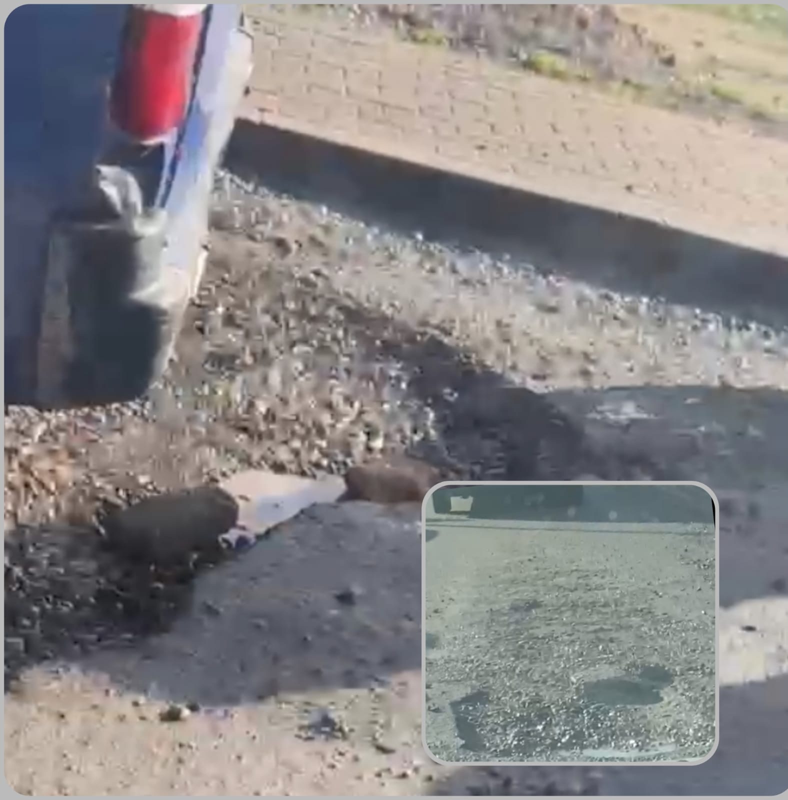 صرخة من قصبة الطاهر.. جمعية أزوران تضع “كارثة” شارع المسيرة الخضراء أمام مكتب عامل الإقليم.