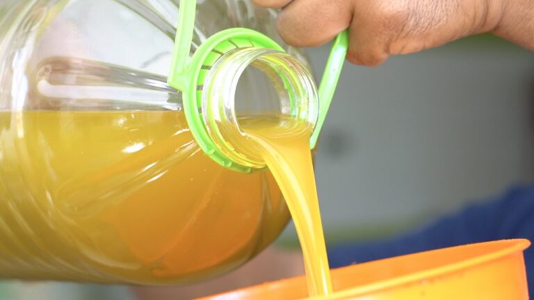 الزيوت النباتية بالمغرب.. معايير جديدة لتعزيز مراقبة الجودة