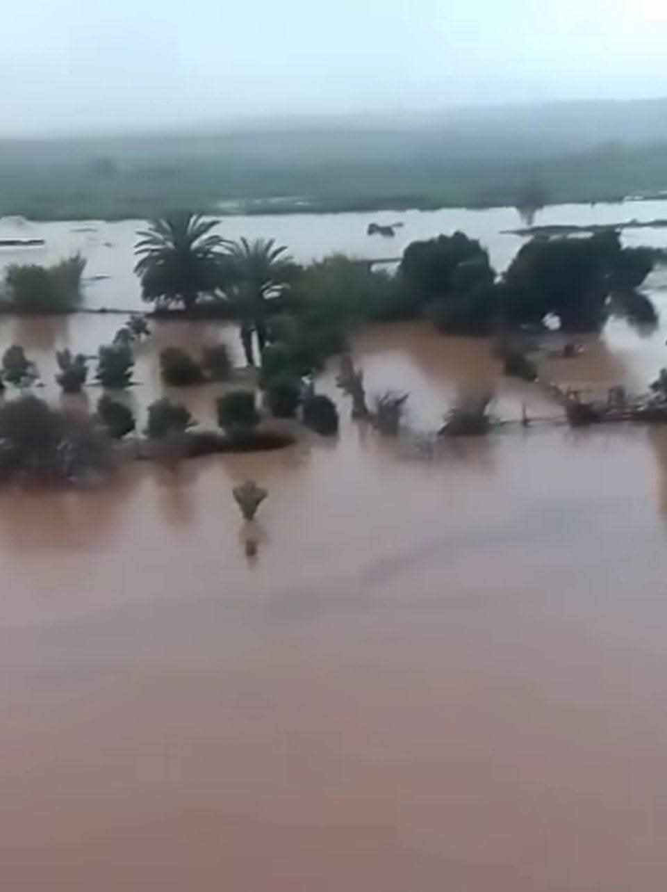 ماسة تحت تهديد الفيضانات: الساكنة تدق ناقوس الخطر وتطالب بتدخل عامل الإقليم