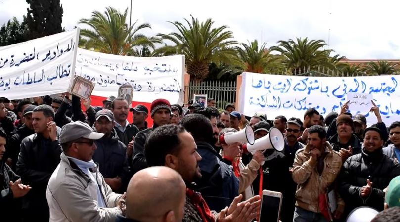 الفلاحون بسوس يدقون ناقوس الخطر بسبب اجتياح القطعان لأراضيهم