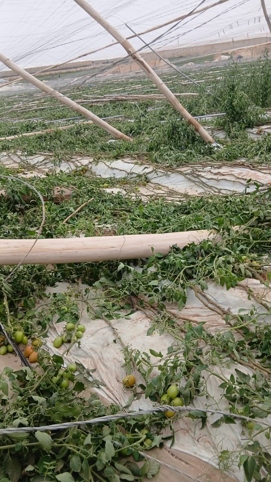 كارثة اشتوكة الفلاحية: هل دقت ساعة مراجعة تقنيات البيوت المغطاة بالمغرب؟