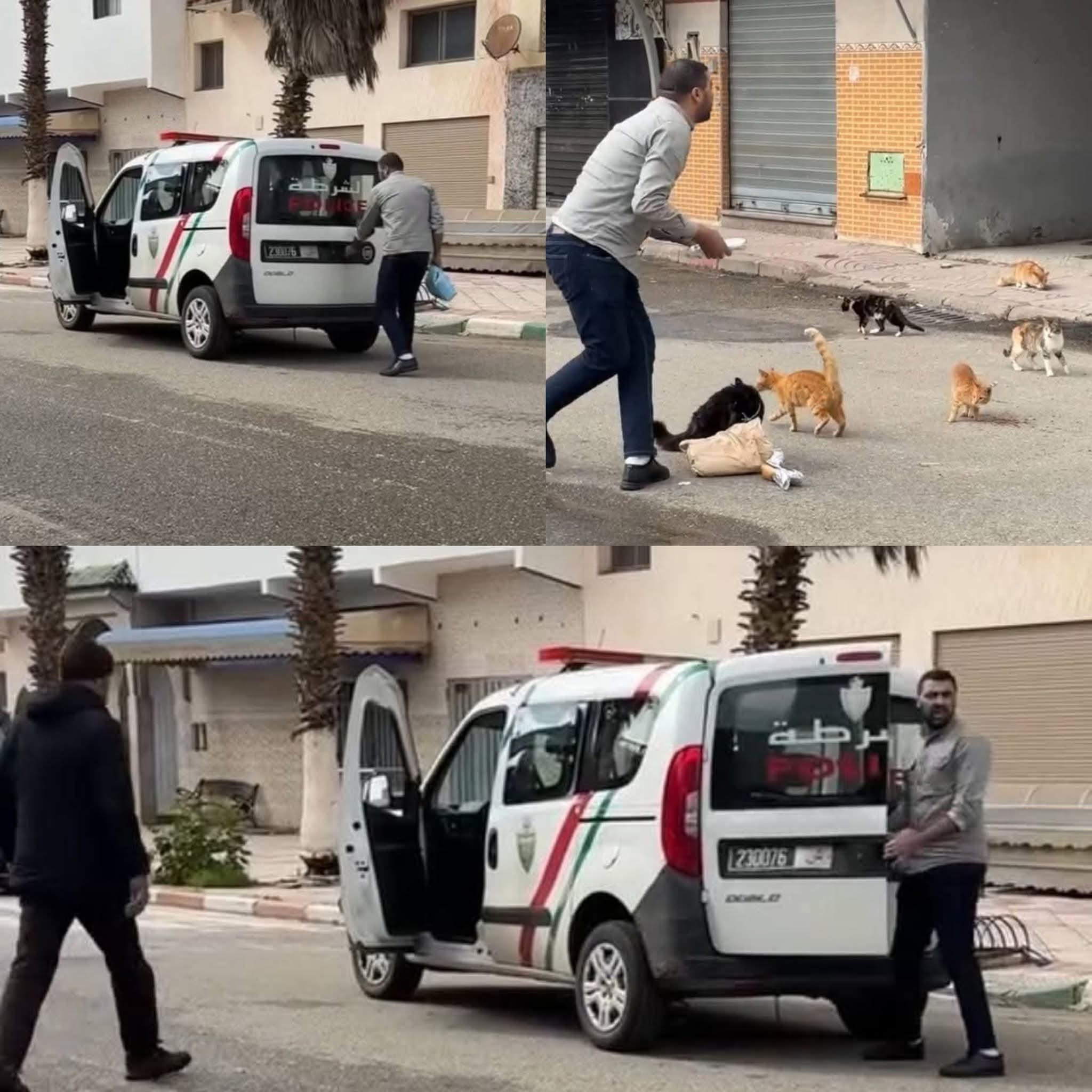 بين الواجب والإنسانية.. عناصر الأمن بالقصر الكبير يطعمون القطط بعد إجلاء السكان بسبب الفيضانات