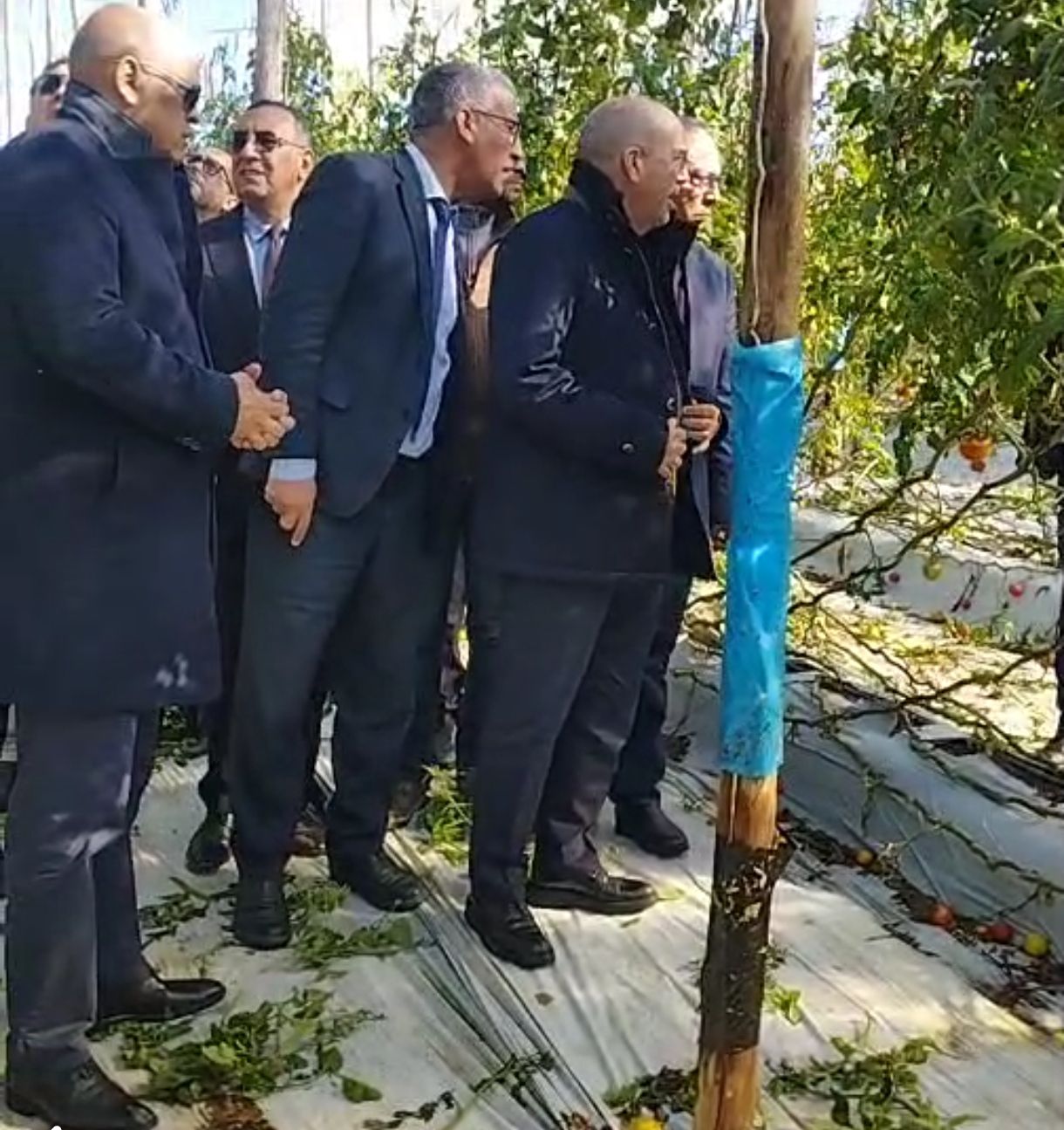 اشتوكة أيت باها: وزير الفلاحة يتفقد “أضرار الرياح”.. فمتى يلتفت لـ “معاناة” الشغيلة الزراعية؟