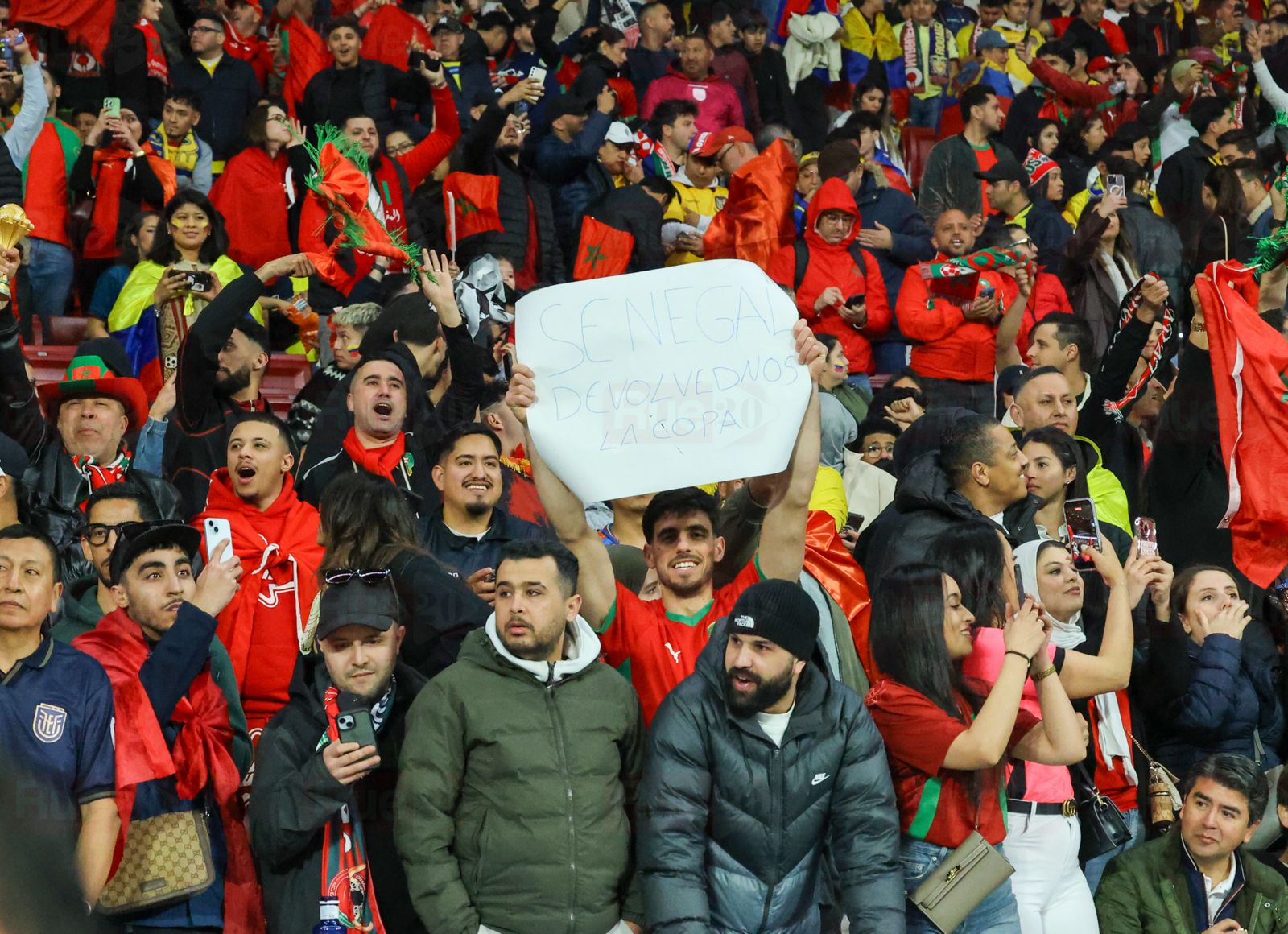 الجماهير المغربية تطالب السنغاليين بإرجاع الكأس خلال مباراة الإكوادور