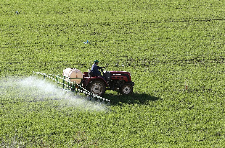 الموسم الفلاحي الاستثنائي يدفع توقعات النمو في المغرب إلى 5.6% خلال 2026