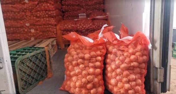 بين غلاء المنتوج المحلي والمستورد الإسباني: أزمة البصل في سوس ماسة تضع وزارة الفلاحة في قفص الاتهام