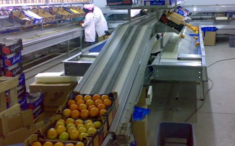 محمي: شبهة خروقات قانونية بوحدة لتعليب الخضروات بسيدي بيبي تثير مطالب بفتح تحقيق عاجل.