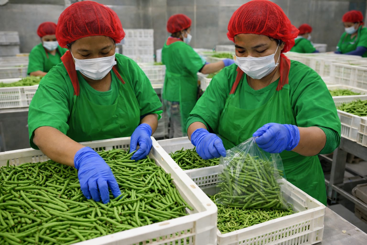 شبهة خروقات قانونية بوحدة لتعليب الخضروات بسيدي بيبي تثير مطالب بفتح تحقيق عاجل.