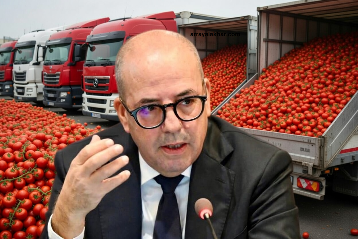 تعليق تصدير الطماطم يفجر أزمة بين المصدرين ووزارة الفلاحة