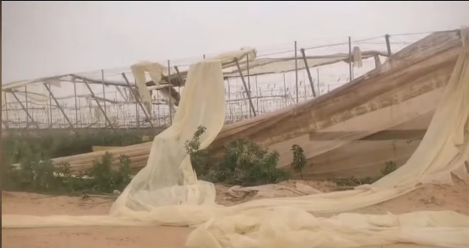 الفلاحة بسوس في مواجهة العواصف: تحديات التغير المناخي وتبعية الاستيراد.