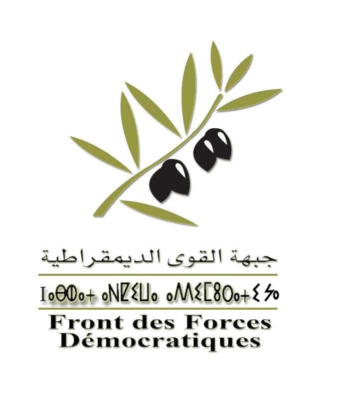 محمي: دائرة إنزكان–آيت ملول: هل تنجح جبهة القوى الديمقراطية في كسر معادلة الأحزاب الكبرى؟