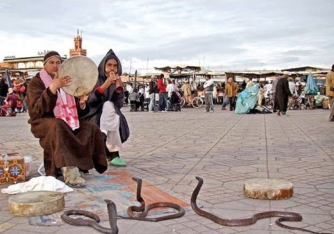 شجار مروضي الأفاعي يثير الفوضى بساحة جامع الفنا والأمن يتدخل