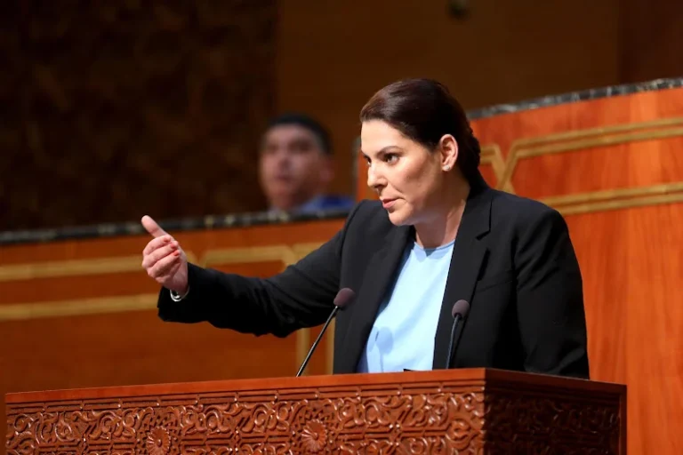 المنصوري: البرنامج الحكومي تعاقد سياسي ومؤسساتي يستند إلى الثقة الملكية وإرادة المواطنين